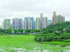 平易近出售只要239個